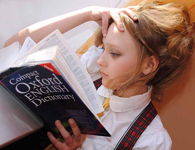 Reading the Dictionary